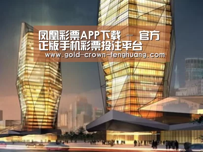 案例展示三