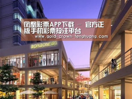 案例展示一